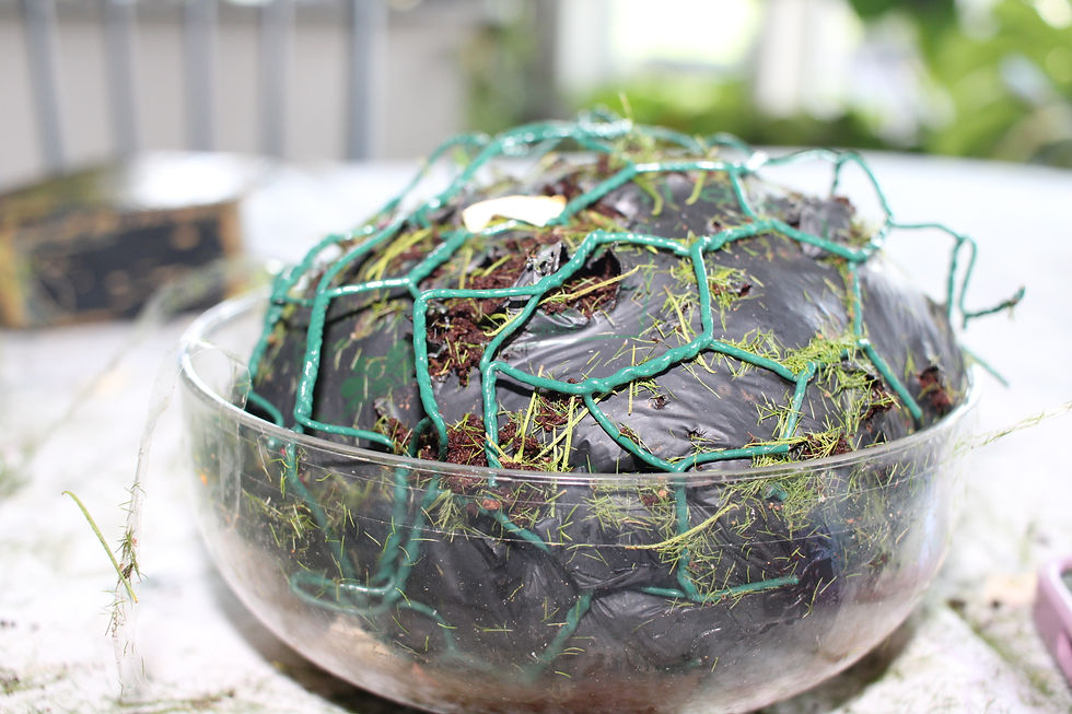 Chicken wire provides structure for the arrangement and it can be reused multiple times.