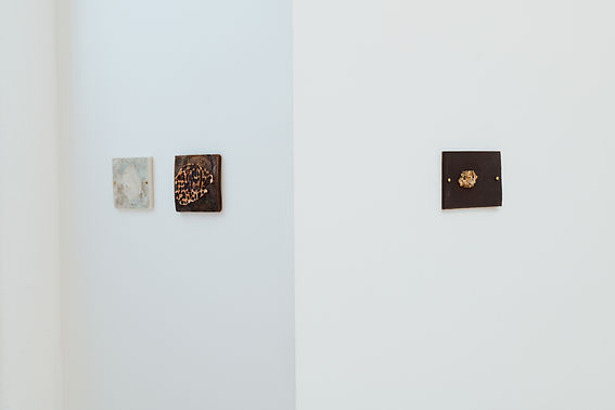Exeter - install shot.jpg