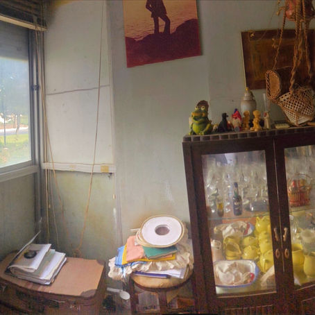 Episode 1: A horder's nest