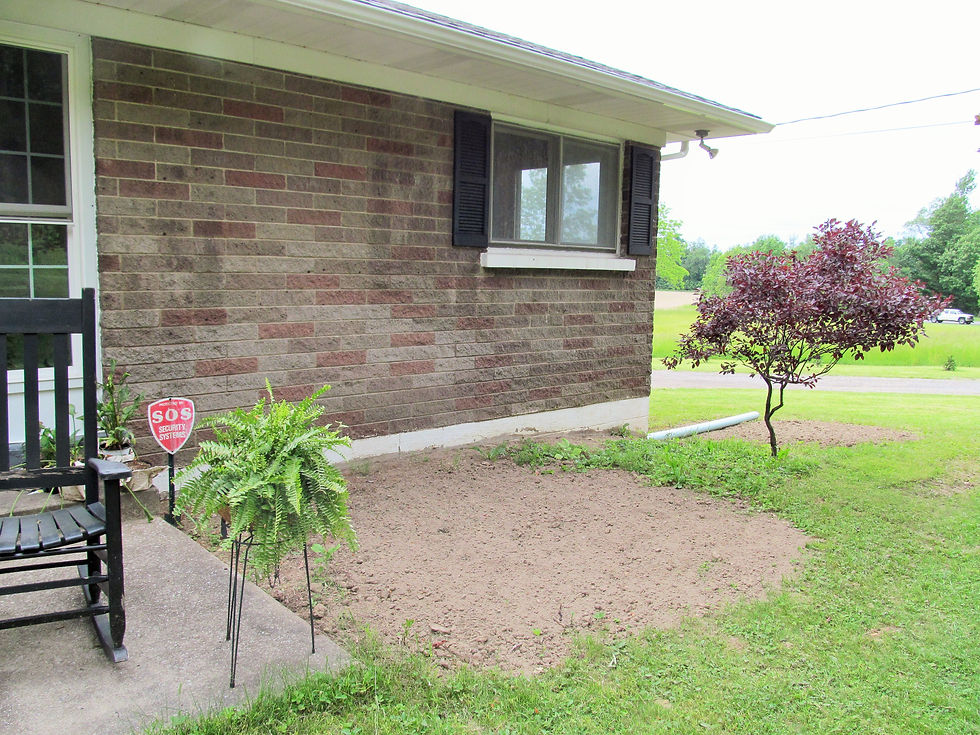 Landscape Prep ~ Roots Removed