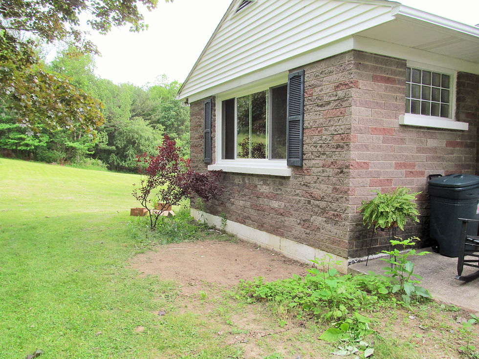 Landscape Prep ~ Roots Removed