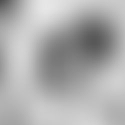 A person videos a smiling woman with curly hair using a phone. The woman wears a white shirt, and the mood is joyful. Black and white.