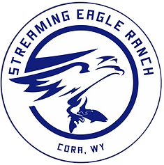 Screaming Eagle Ranch Logo.png