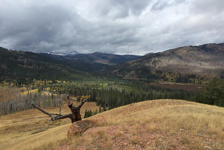 CK Hunting & Fishing Camp