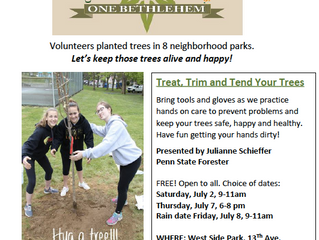 Treat, Trim, and Tend Your Trees Workshop