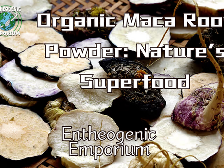 Discovering Organic Maca Root Powder
