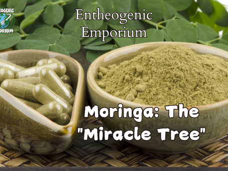 Moringa