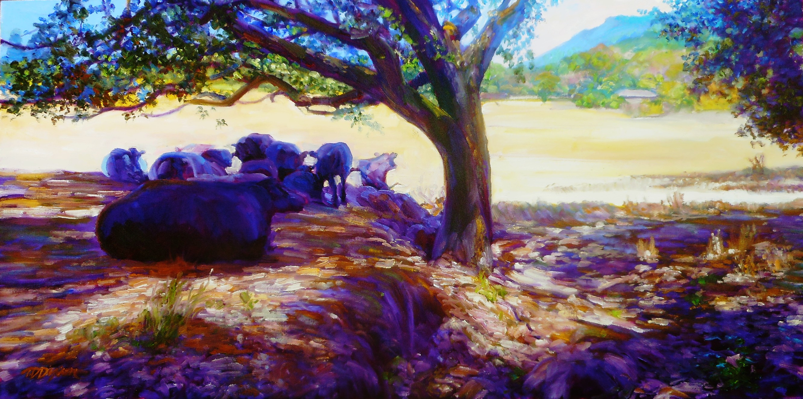Bennett Valley Herd