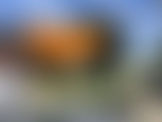 푸꾸옥 스파 추천 헌터위크 7일 할인 망고 페퍼 코코넛 후기