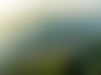 베트남 나트랑 오션뷰 럭셔리 풀빌라 르 코라이 그란 멜리아 휴양 추천