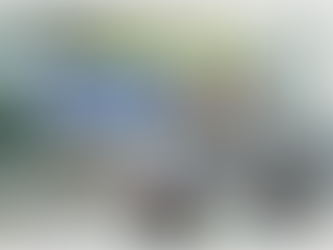 하노이 노이바이 공항 VIP 빠른 입국 서비스