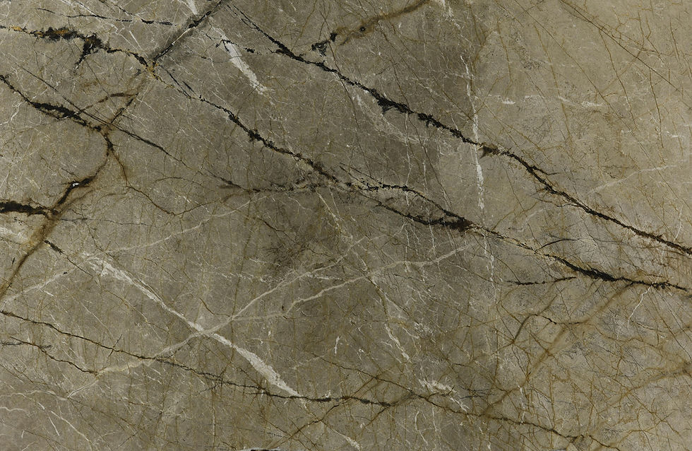 Silver Roots