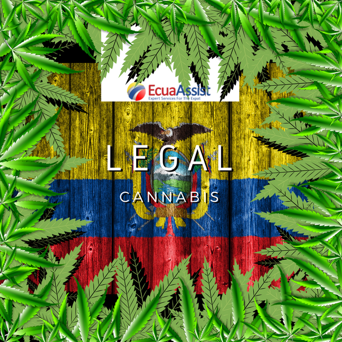 IN ECUADOR IS LEGAL TO GROW CANNABIS*