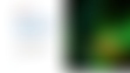 Are expats really healthier living in Ecuador? Discover the facts, myths, and measurable realities about health, lifestyle, and relocation abroad.