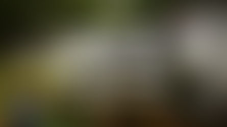 Cost of Living in Ecuador vs North America: The Reality Beyond the Headlines