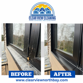 Window Cleaning