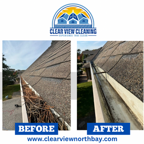 Gutter Cleaning