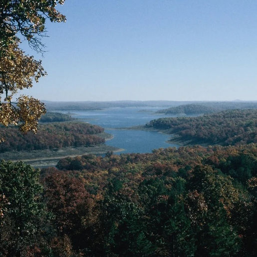 The Forever Business of the Land Trust