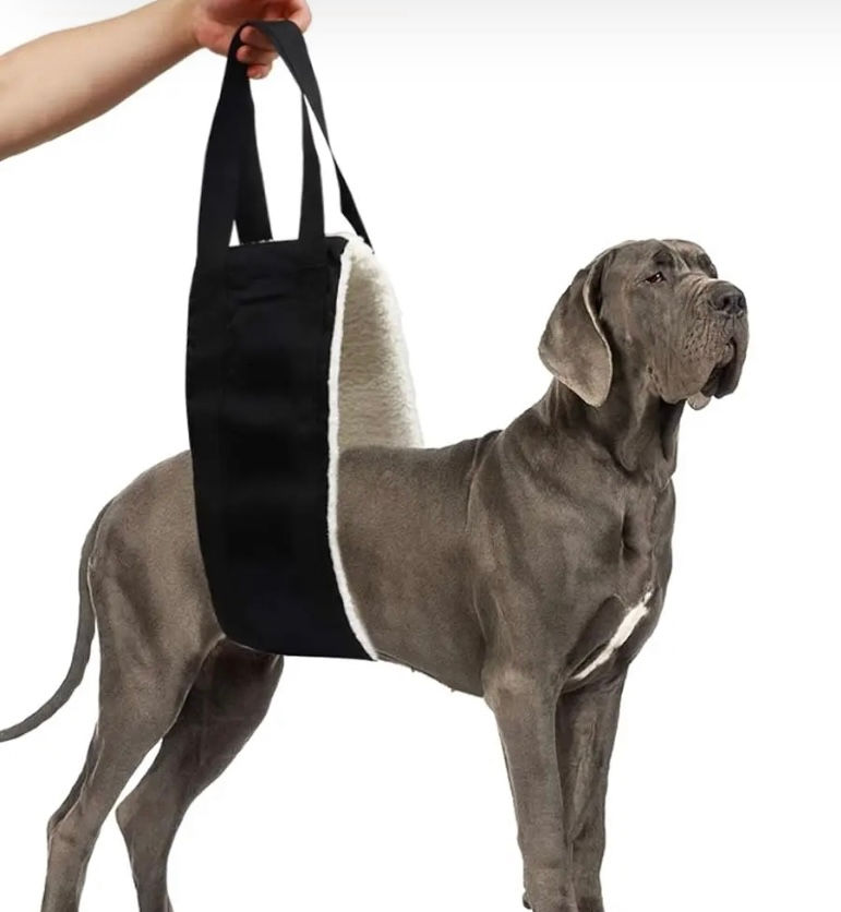 Thumbnail: dog harness on large dog