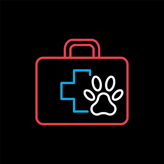 pet first aid kit webinar