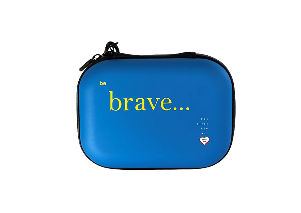 pet first aid kit bag