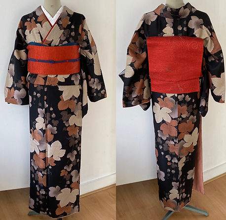Kimono 2.3.jpg