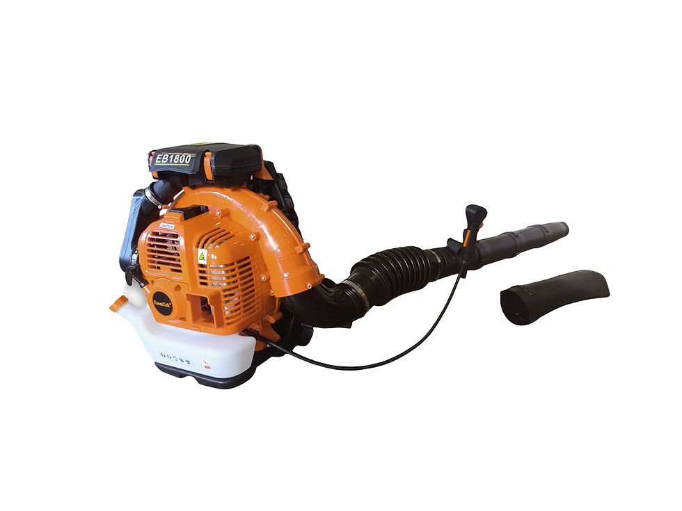 Soplador Profesional