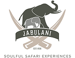 Jabulani Logo Vector File.pdf.png