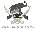 Jabulani Logo Vector File.pdf.png
