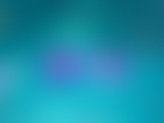 A new year, new beginnings – all the best for 2014 from IDU