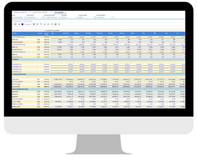 IDU Financial Modelling