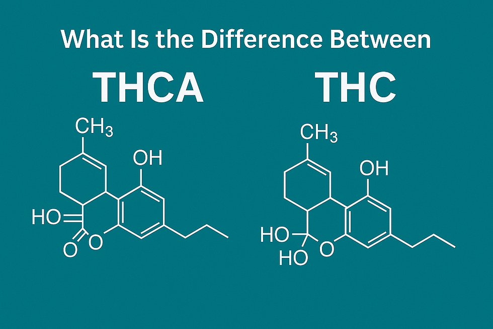 Chemical structure of THCA and THC side-by-side