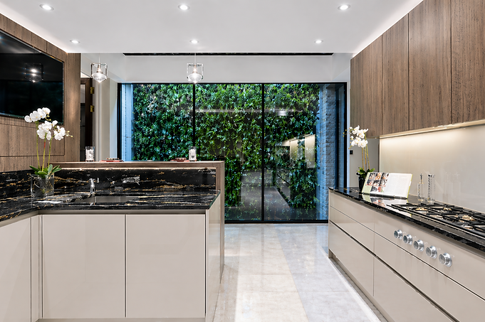 luxury kitchen.png