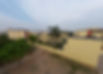 DJI_0225.JPG