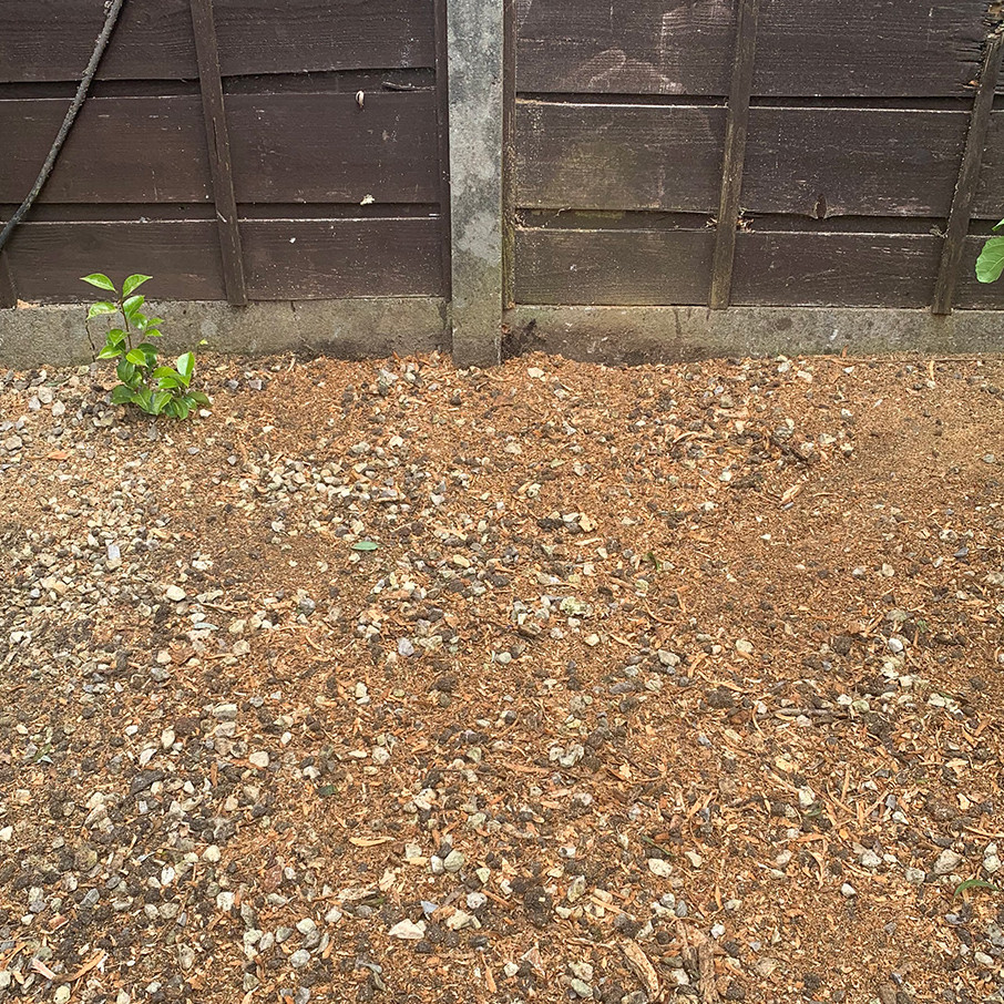 Tree-Stump-Removed-2.jpg