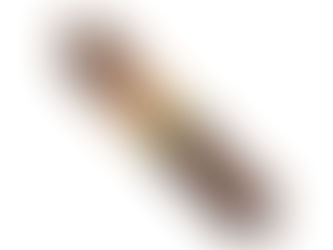 A Symphony of Flavor: Arturo Fuente Rothschild Cigar Unveiled