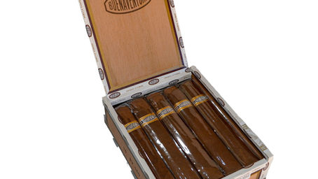 Exploring Excellence: Curivari's Buenaventura BV 560