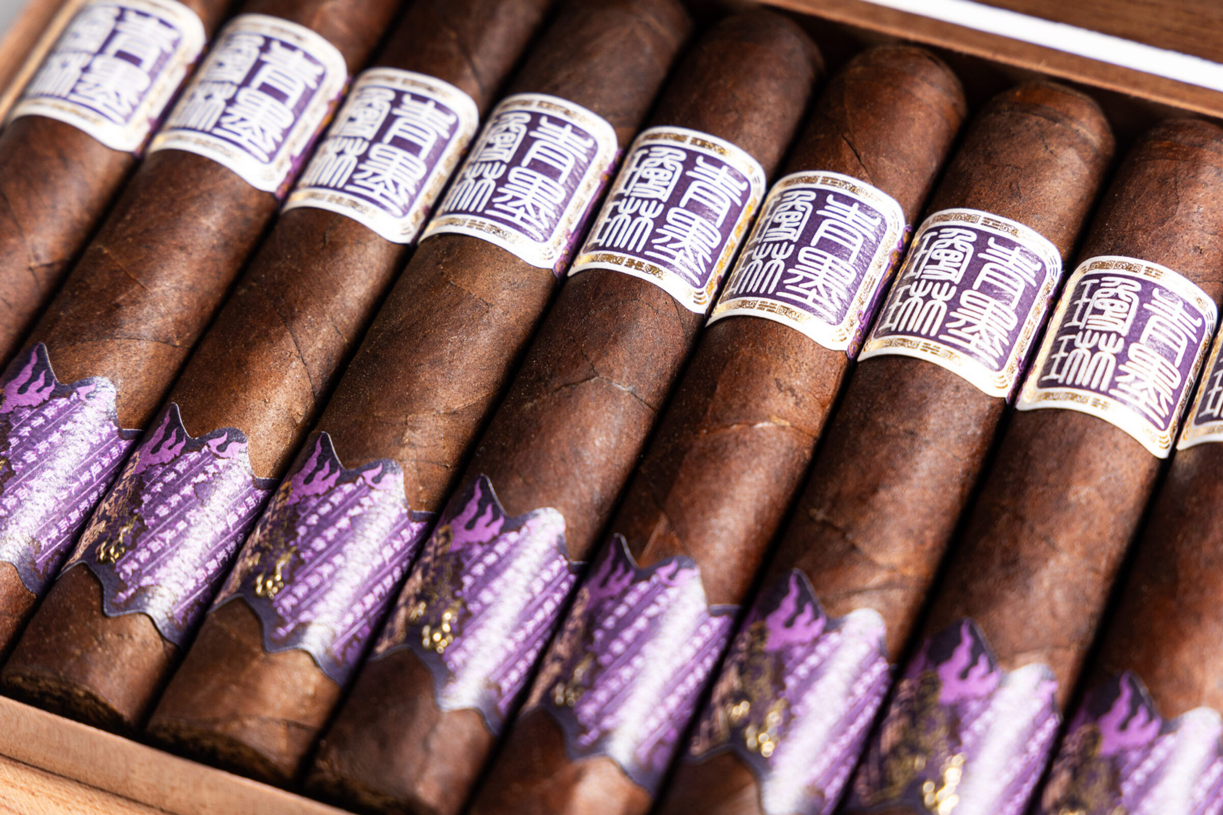 Chimolly Pioneer Robusto