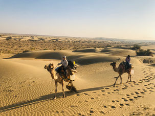 Camel Safari India