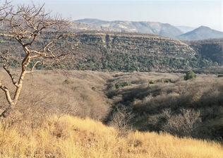 Ranthambore Tiger Reserve