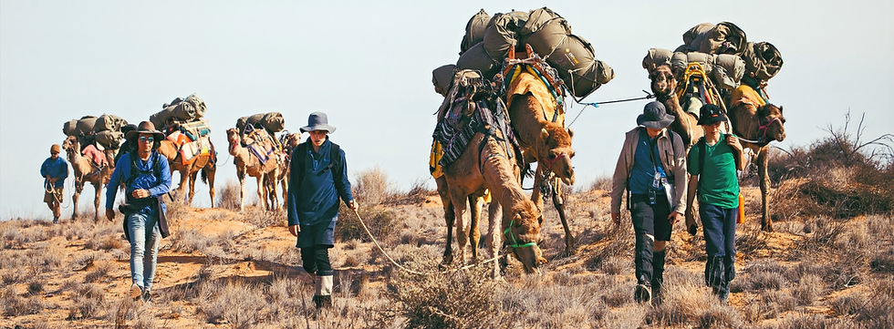 Camel Treks Australia safari tour riding ride bushwalking school camps outback holiday.JPG
