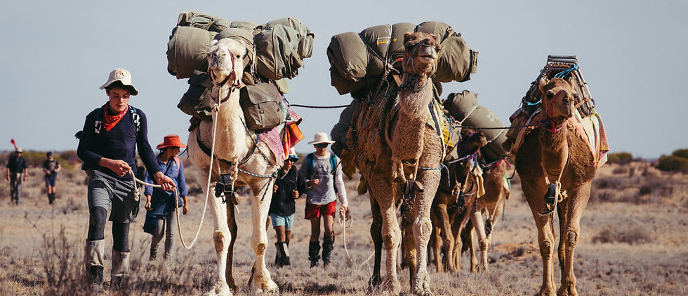 Camel-Treks-Australia-Outback-Camel-Company-Australian-Desert-Expeditions-Outdoor-Education