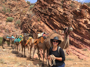 Bushwalk with Camels Flinders Ranges