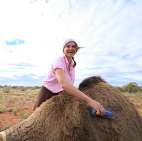 Sophie Matterson camels safari camel outback tourism adventure getaway holiday trek trekking travel south australia explore remote detox nature ecotourism eco-friendly wander freedom escape naturalist bushwalking walking hike hiking desert wombats kangaroos birds wildlife naturalist eco salt lakes mountains gawler ranges film movies television productions camel sales export photography Camel Treks Australia
