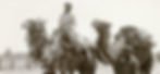 Camel-Treks-Australia-Afhgan-Cameleer-History-Treks-Expeditions-Safaris
