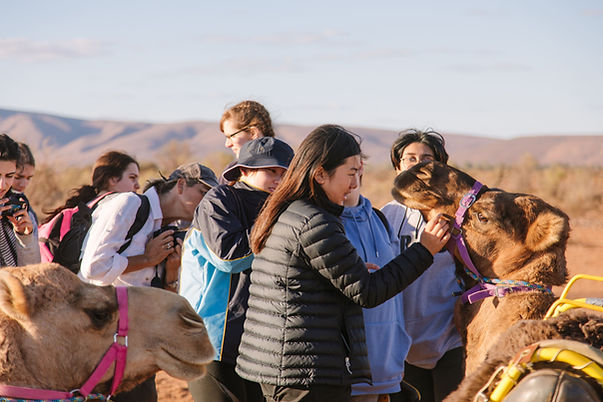 Camel-Treks-Australia-Secondary-School-Camps-Outdoor-Education-Animal-Therapy-Nature-Thera