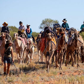 Sophie Matterson camels safari camel outback tourism adventure getaway holiday trek trekking travel south australia explore remote detox nature ecotourism eco-friendly wander freedom escape naturalist bushwalking walking hike hiking desert wombats kangaroos birds wildlife naturalist eco salt lakes mountains gawler ranges film movies television productions camel sales export photography