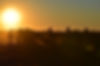 Camel Treks Australia Outback Safaris Tours Expedition Desert Simpson Tirari Flinders Rane