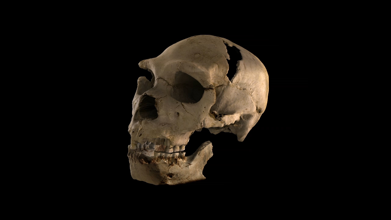 Museo arqueologico de Burgos