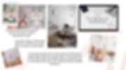 Copy of Untitled Design (1).png